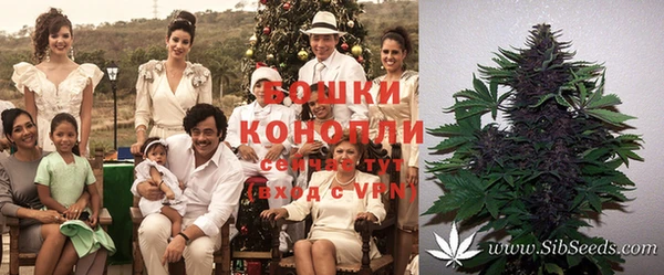 экстази Ельня