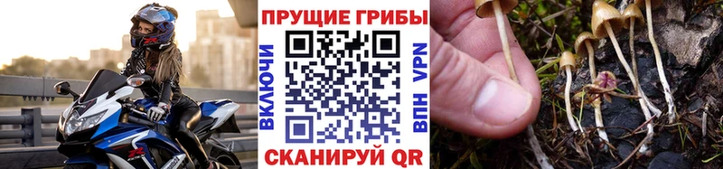 магазин    Карабаш  Галлюциногенные грибы мухоморы 